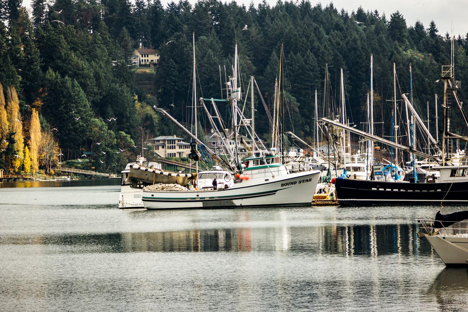 Boats at Gig Harbor